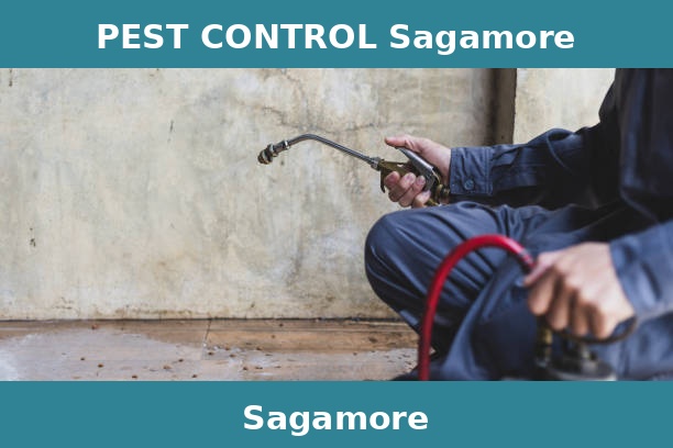 PEST CONTROL Sagamore
